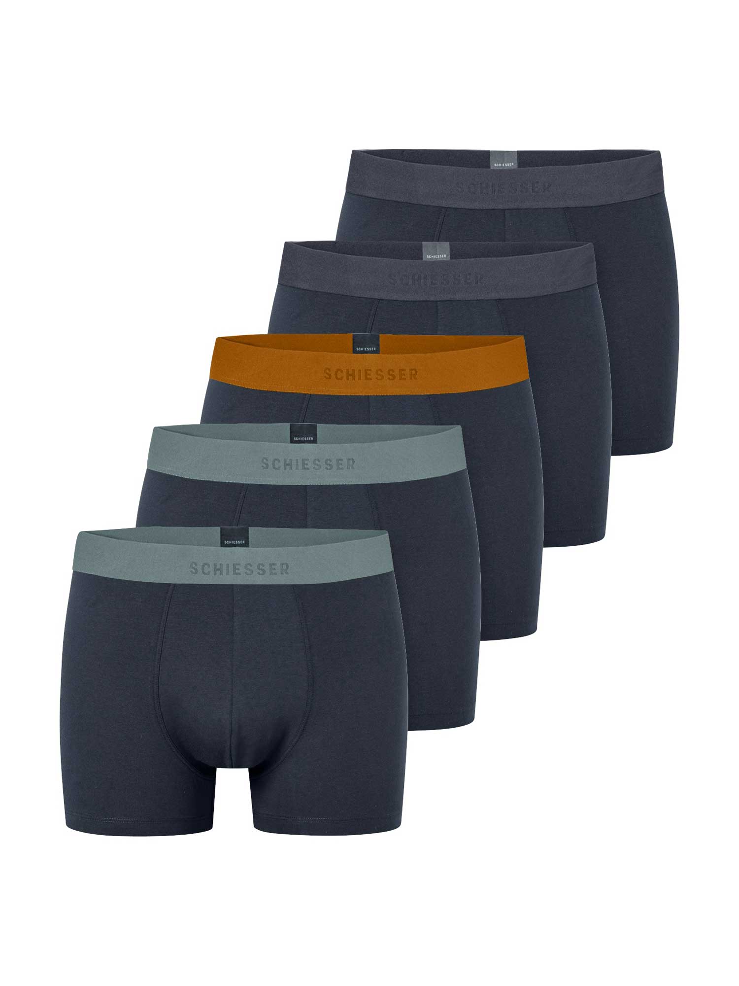 5p 95-5 Shorts